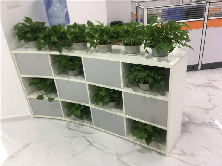 深圳龙华办公家具文件柜简约木质书柜收纳资料储物柜办公隔断矮柜