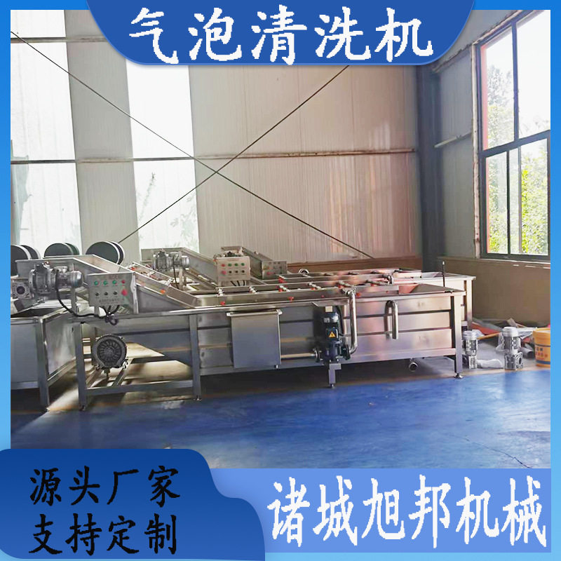 多功能气泡清洗 大型喷淋式辣椒洗菜机 全自动连续式果蔬清洗设备