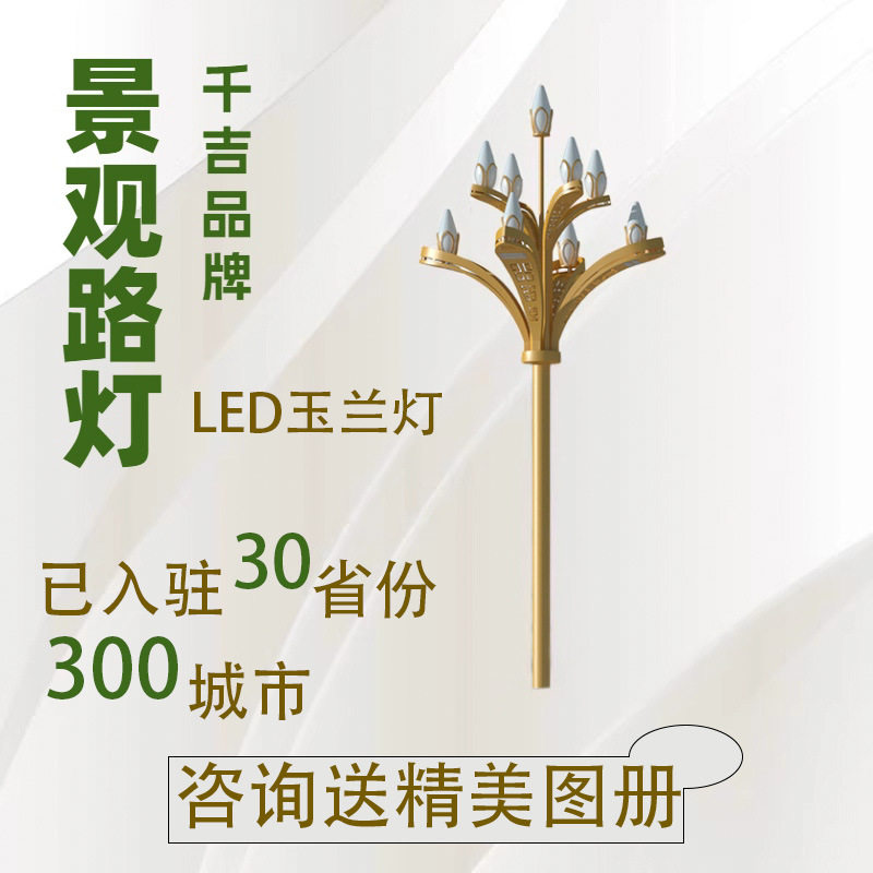 千吉玉兰灯户外道路照明景观灯