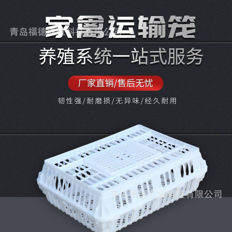 家禽运输笼 鸡鸭鹅W形运输筐 加厚塑料运输鸡笼 周转箱鸡运输笼子