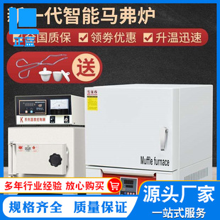 正蓝马弗炉箱式电阻炉实验室电炉工业高温炉炉淬火炉热处理炉