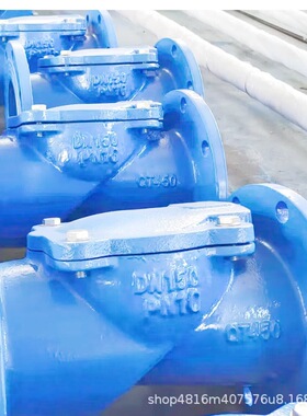 H44X/SFCV-10橡胶瓣止回阀球铁铸钢不锈钢法兰连接