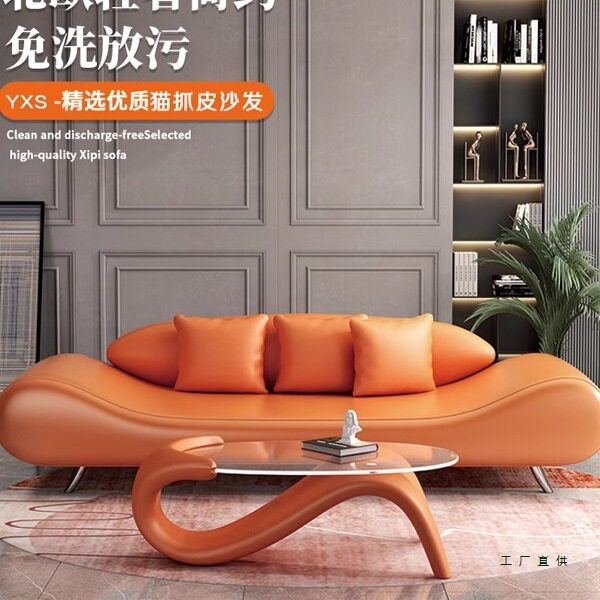 北欧轻奢小沙发高级感小户型卧室客厅民宿公寓创意异形猫抓皮沙发