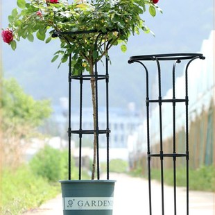 三角梅爬藤架欧式花架子固定架花支架植物种植造型支架蟹爪兰支撑