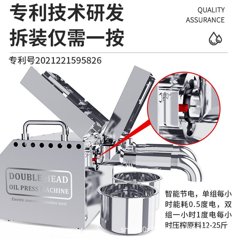 双电机全自动中小型商用家用榨油机 B02