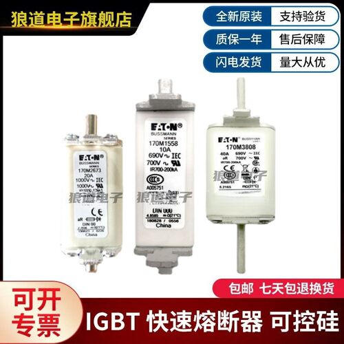 原装正品现货170M6762 170M6763 170M6764 170M6765巴斯曼熔断器