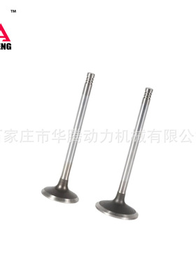 道依茨BFM1013进气门04255254 04283380排气门04255255 04283381