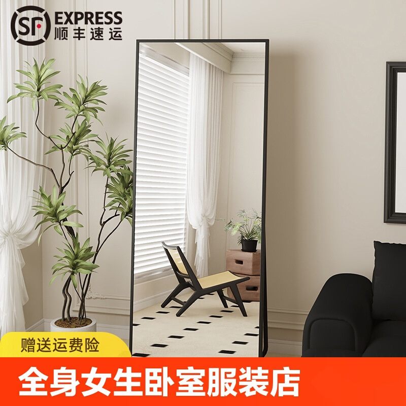 全身镜轻奢女生卧室衣帽间服装店网红试衣镜客厅壁挂落地穿衣镜子