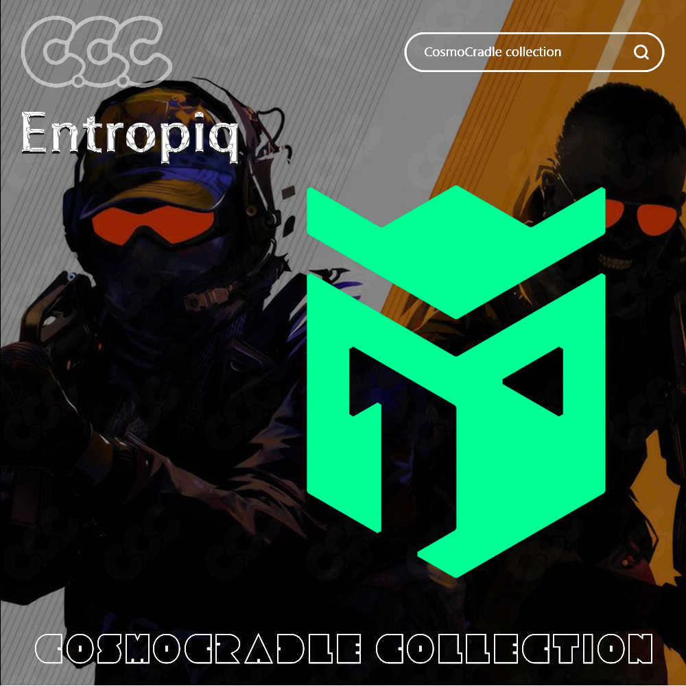 CS:G0 Major 战队队标 Entropiq