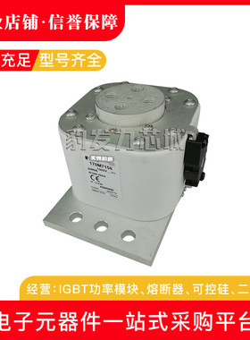 170M7163 170M7499 170M7595全新熔断器现货