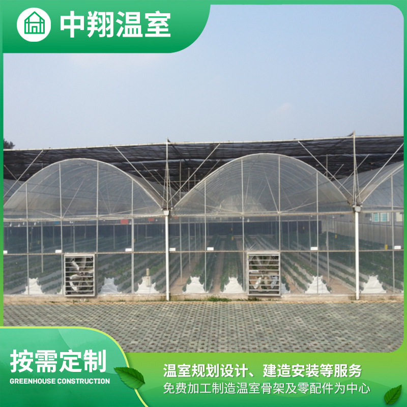 薄膜温室花卉种植骨架稳定采光好建设快方便管理 薄膜连栋大棚