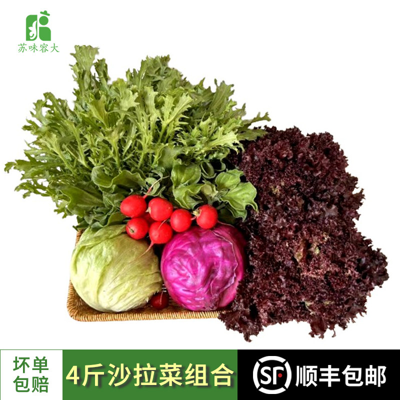 新鲜蔬菜沙拉组合4斤新鲜混合蔬果色拉生吃食材轻食套餐生菜沙拉