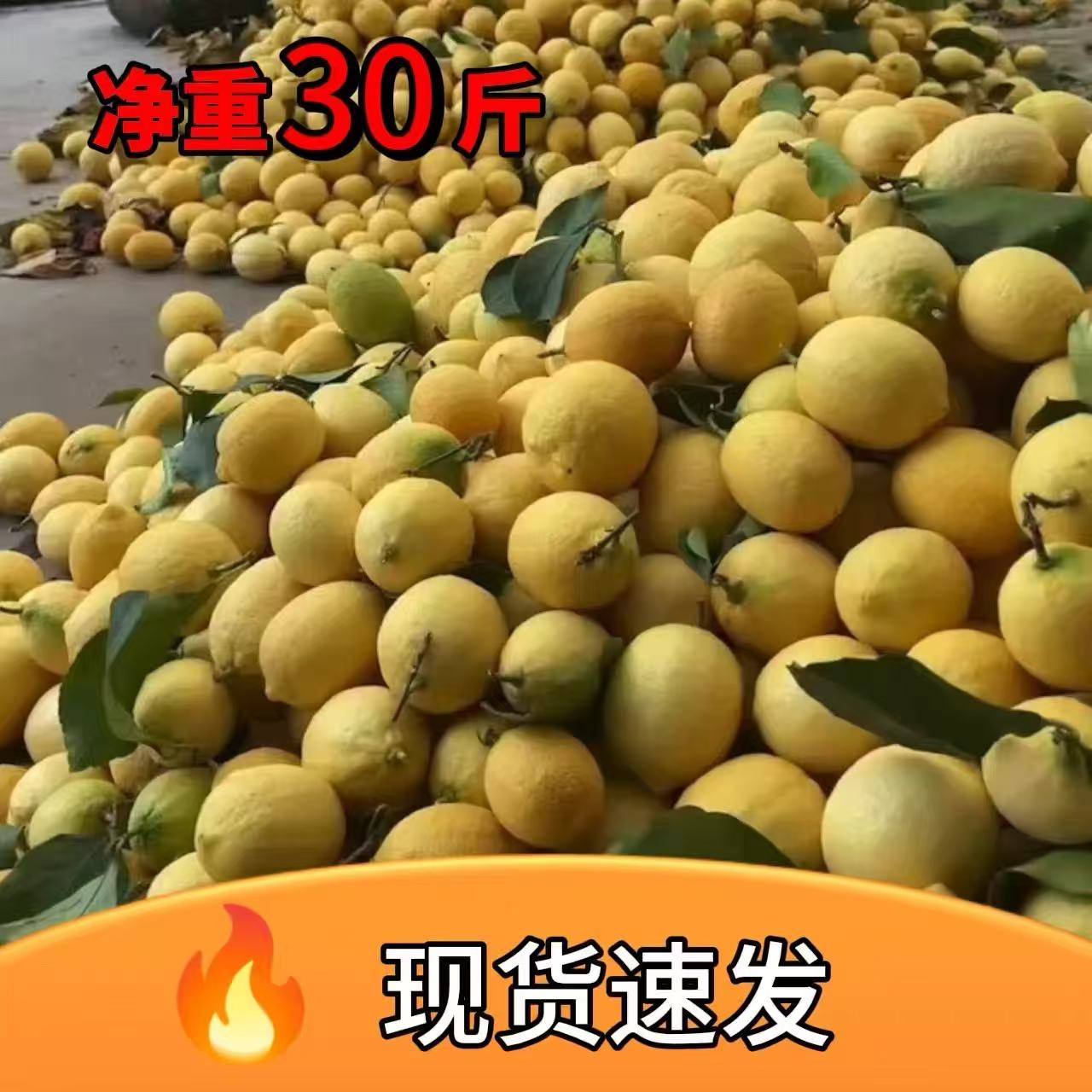 老柠檬30斤安岳新鲜水果 一级大中小可以选择 商品果奶茶店推荐