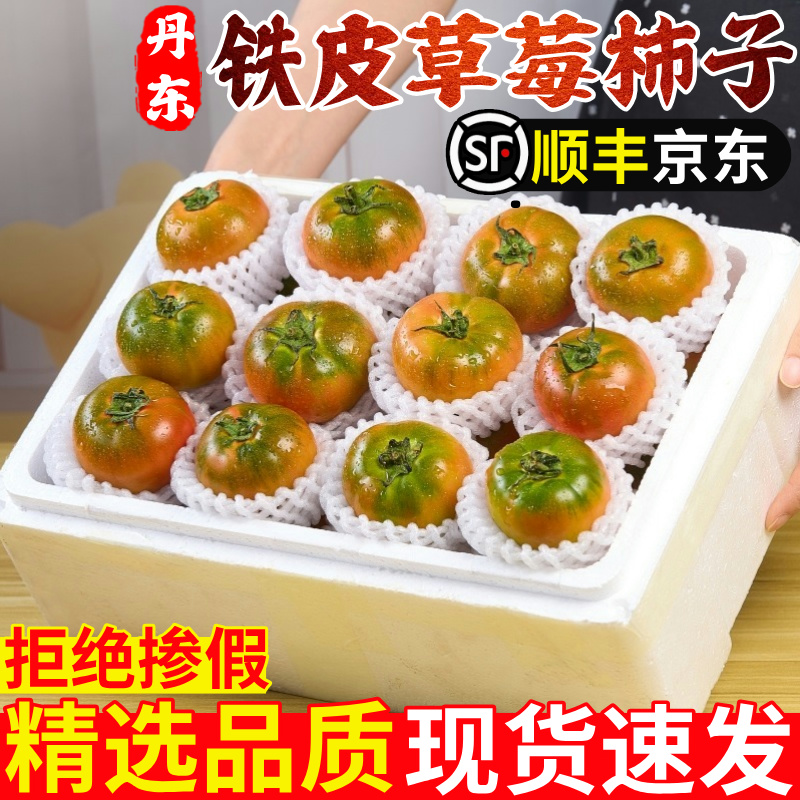 【铁皮草莓柿子】官方回购榜top