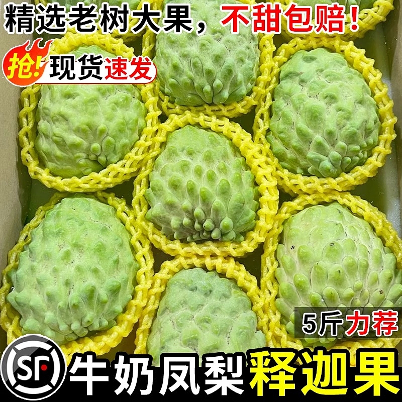 现货！凤梨释迦果！冰淇淋口感