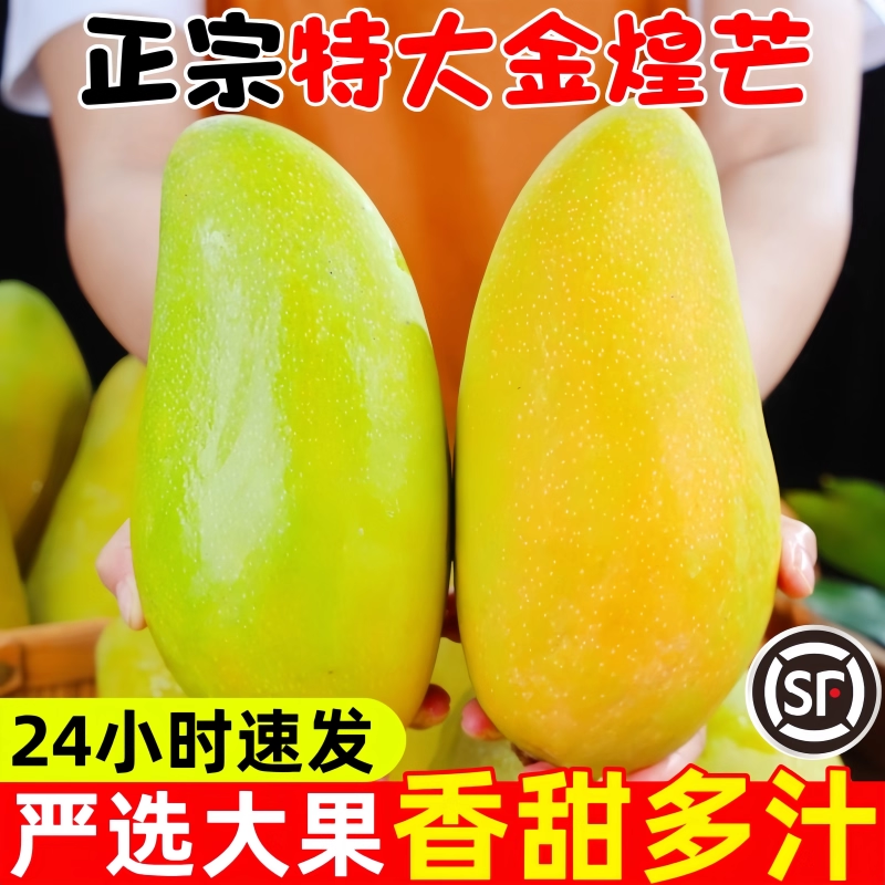 爆甜！正宗金煌芒！香甜多汁