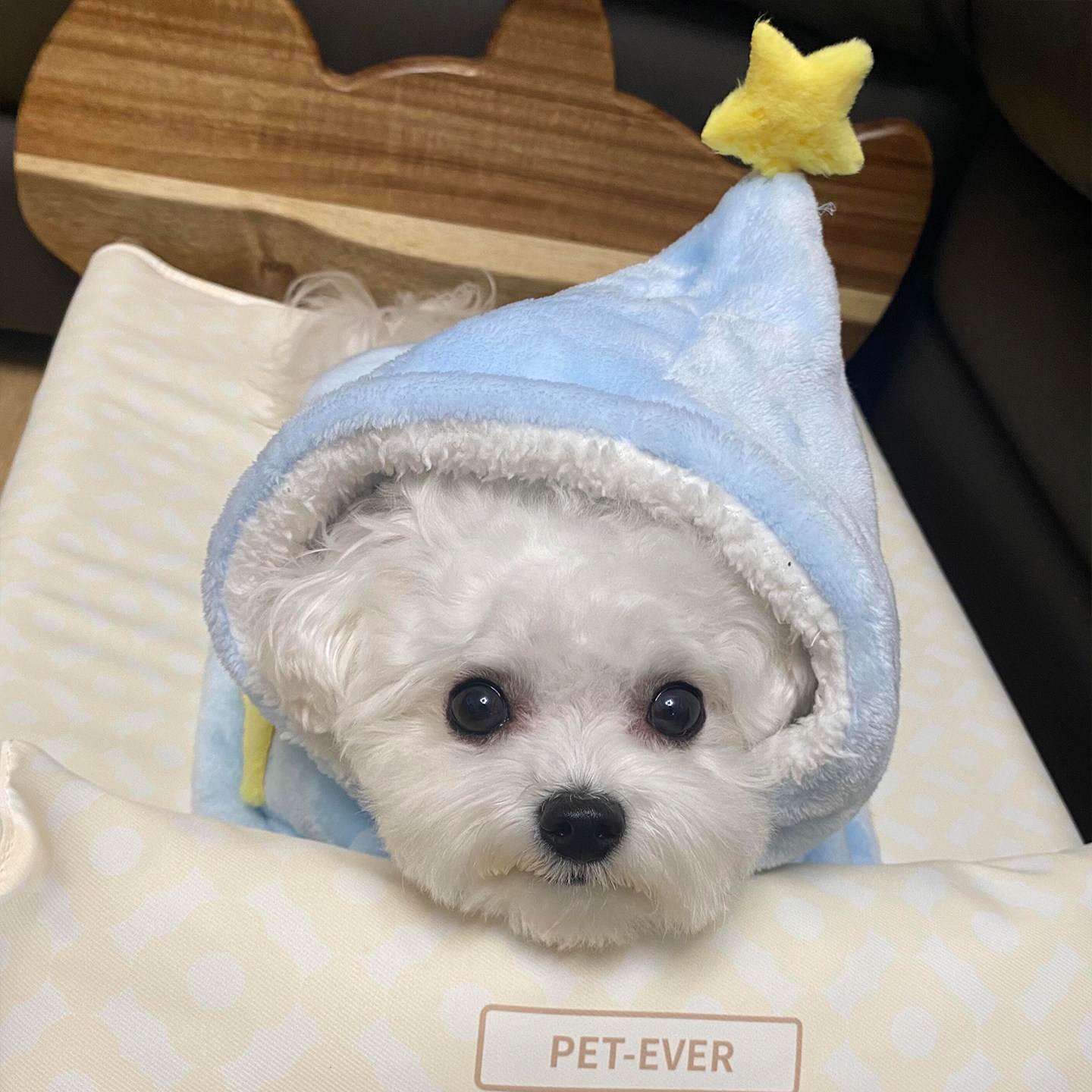 狗猫秋冬加厚保暖斗篷毛毯
