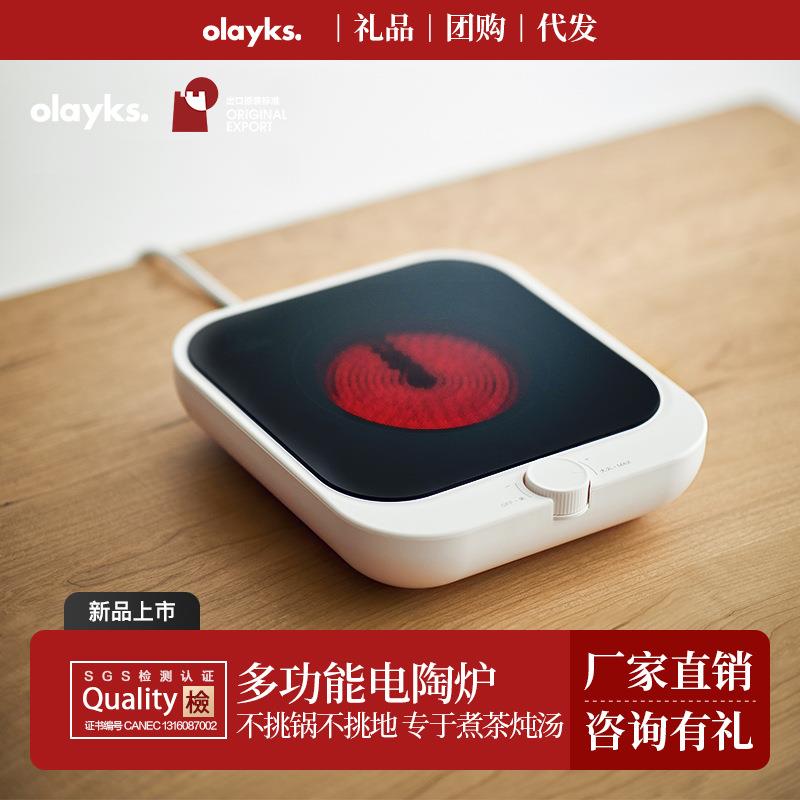 立时电陶炉家用迷你电磁炉煮蒸炒煎炖多功能一体炉