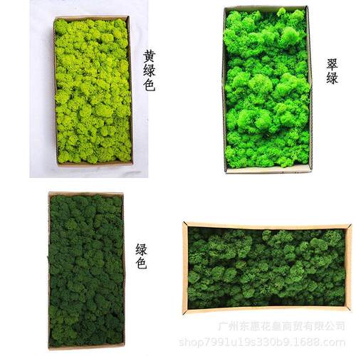 永生花苔藓花材diy材料苔藓墙苔藓画苔藓装饰工艺品500g盒装