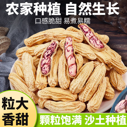 新货云南七彩花生带壳生熟花生