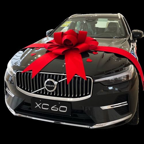 汽车店节庆大蝴蝶结4s店新车展厅陪嫁妆布置提车交车仪式装饰红花