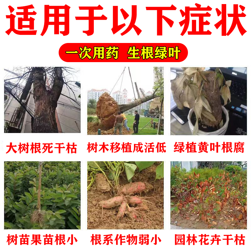 大树成活营养液死树复活生根液果树小苗营养液枯树烂根烂苗复活剂