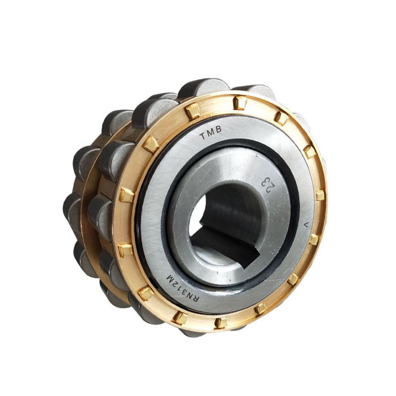 减速机偏心轴承 RN205 RN206 RN307 RN309 204 207 312 219 228 M