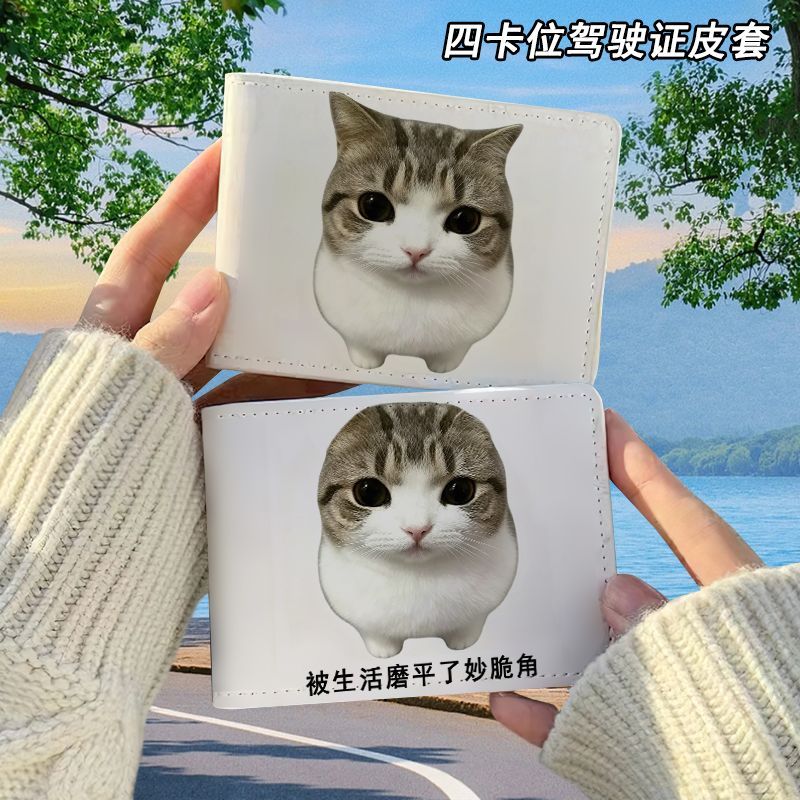妙脆角小猫可爱抽象驾驶