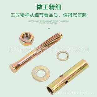 彩锌FBG铁膨胀孔膨胀丝属膨胀螺栓8厘拉爆金MM86M10小带头