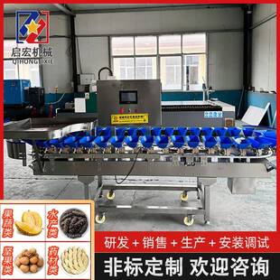 香果分拣机柑橘自动称重AYF料全盒式重百量级机电分子分选机设备