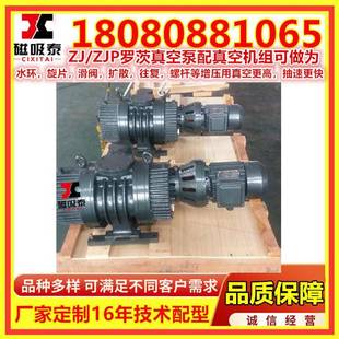 绍兴漆ZJP-28220500罗茨真空泵小型空真空造纸厂ZJ泵白P/真ZJ罗茨