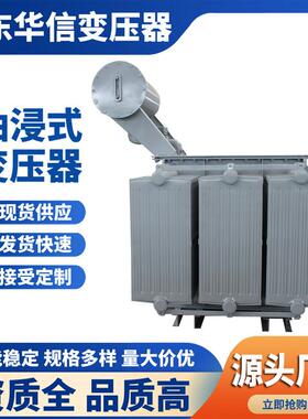 一级15744能效S22油浸式变压器20KV0A/100KV变压器