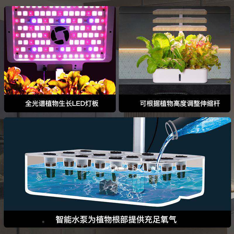种培菜机种菜土栽蔬菜水培育55963苗花卉家庭种植无种袋植槽