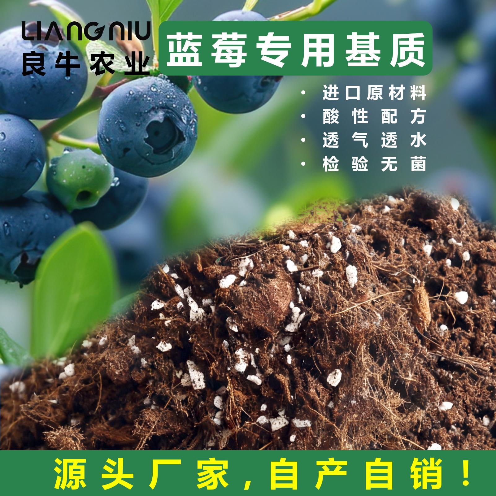 蓝莓基质欧洲配方进口原材料100L营养土种植基地专用