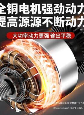 电动抽油泵芯柴油泵TPL1抽2V24V通用启2滤20V加油机停自吸泵油