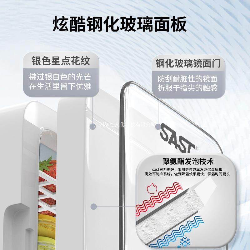 SAST车载你小冰箱1v汽车小型母51992乳储奶8L冷宿舍单人迷用制冷2