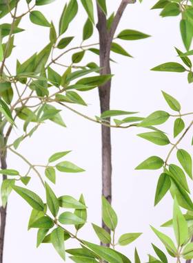 仿绿植异形南真天28669竹端轻奢室内客厅大型仿植物盆栽生造景装