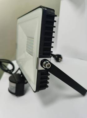 热卖PIR远红外20210312LED人体感应投石光灯地光户外墨泛烯pir壁