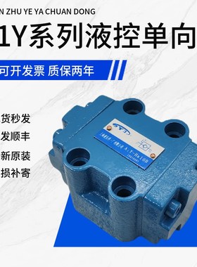 上海东皋A1Y-Ha10Bl液控单向阀A1Y-Hb10B A1Y-Ha10L A1Y-HB20B A2