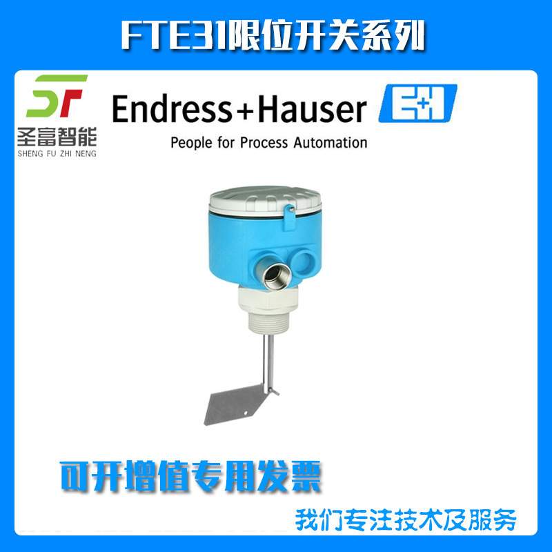 FTE31限位开关FTE31-A4A111阻旋式物位开关