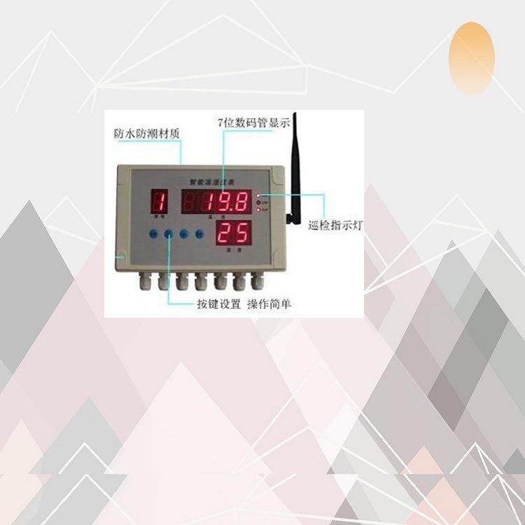 智能温湿度表型号:HJ310-WSD货号：M401187