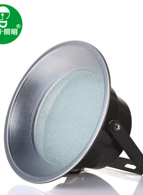 防雨LED吊灯天棚灯工矿灯50W投光灯 ip65防水工矿灯 防蚊虫吊灯