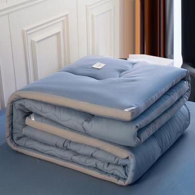 Quilt winter quilt quilt core spring and autumn quilt cotton