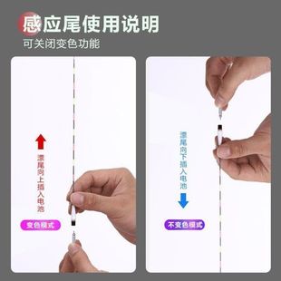 鲤鱼夜光漂钓孔雀羽电子票重力感应细尾醒目豆大头浮盒海桶座野