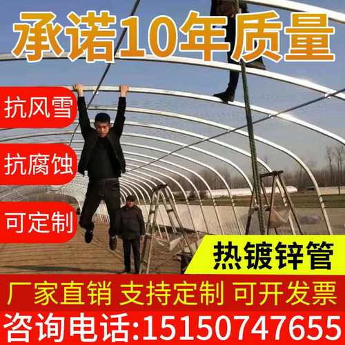 k搭椭养猪骨架牛羊殖圆管钢管保温猪舍O养鸡场养建全套大棚