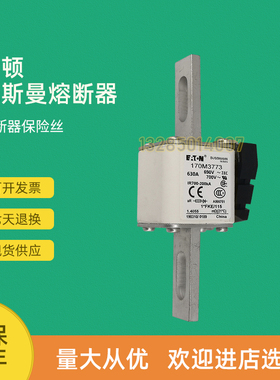 全新快速熔断器保险170M3746 170M3747 170M3758 170M3759