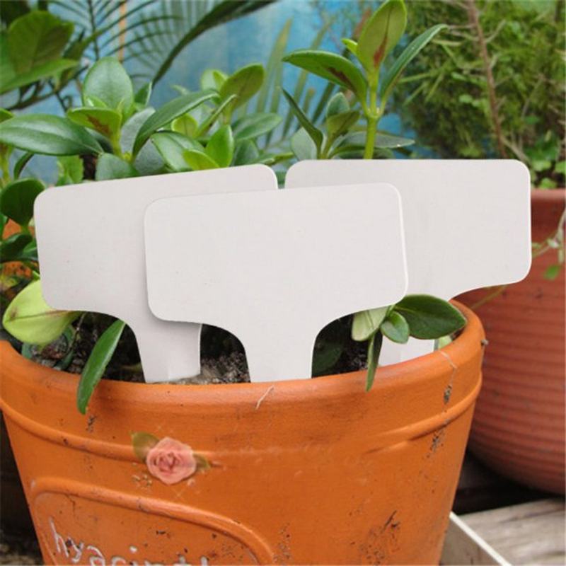 100PCS  Plant Tag T-type Plastic Labels Nursery Garden Flowe