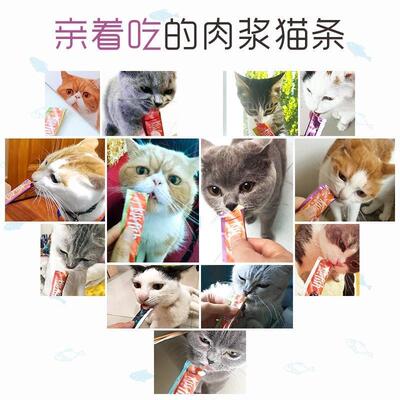 好货。cat fish strips 100 whole box snacks nutrition fatteni