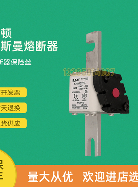 全新快速熔断器保险170M3217 170M3218 170M3219 170M3220