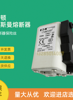 全新快速熔断器保险170M3320 170M3321 170M3329 170M3358